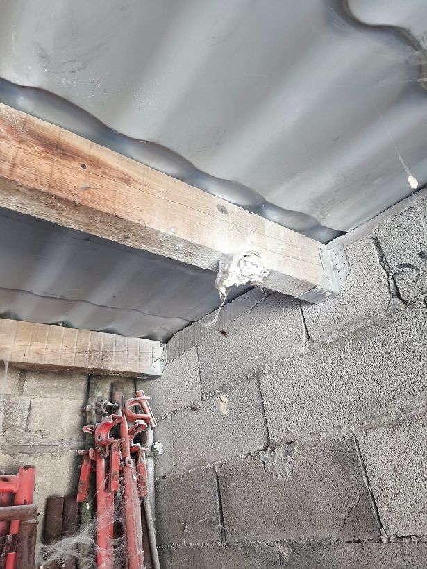 Intervention nid frelons asiatiques gard