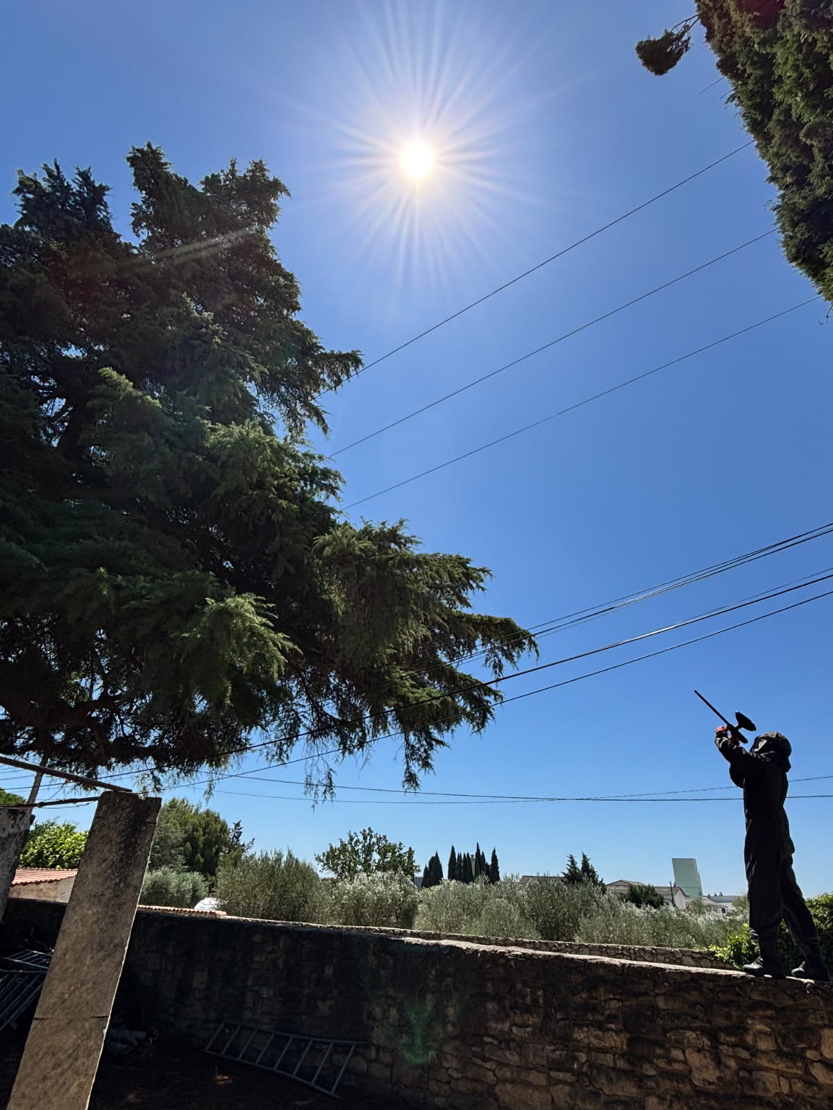 Intervention nid frelons vaucluse