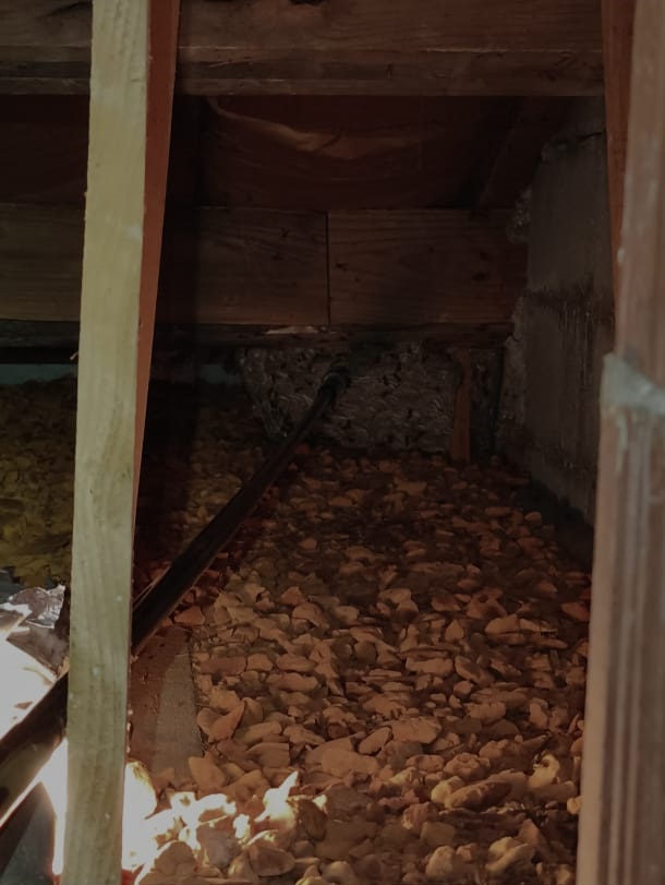 Nid frelons orange 84100